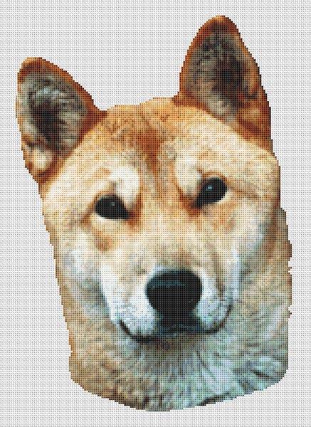 (image for) Akita